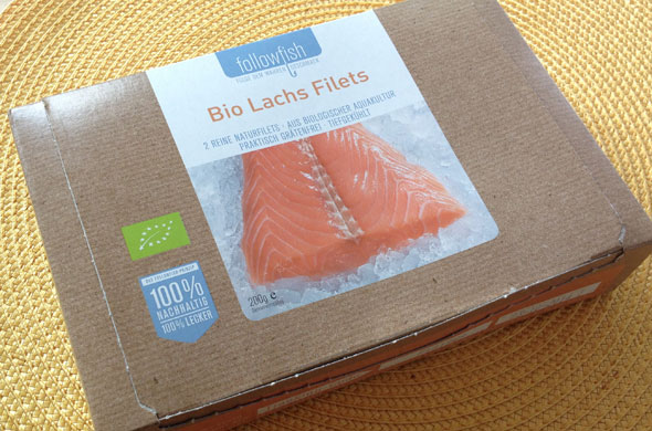 lachs-filet-mittagessen-01